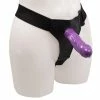 Wholesale ⭐ Bondara&Sex Stiff Competition Purple Unisex Hollow Strap-On ? 6 Inch 🌟